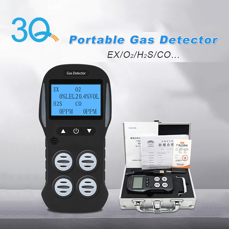 Portable Gas Detector